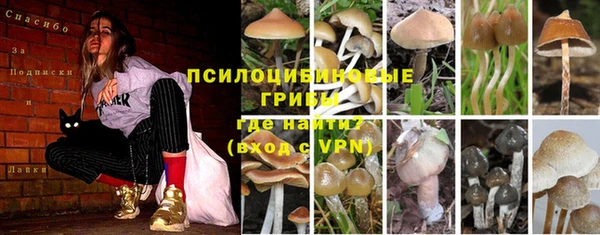 не бодяженный Алексеевка